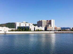 紀三井寺駅 徒歩6分 2階の物件内観写真